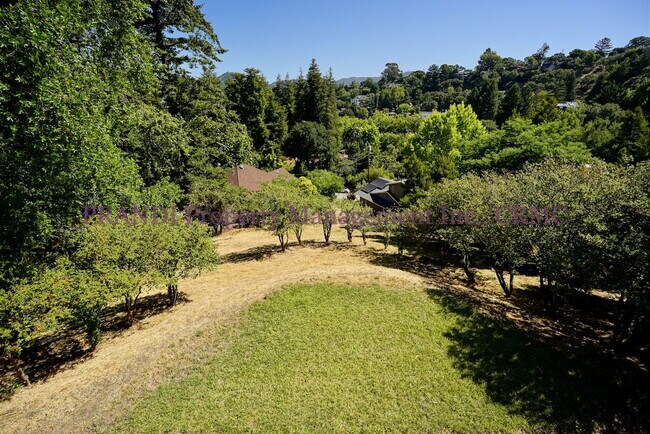 Building Photo - Classic, Modern and Private Home with Fres...
