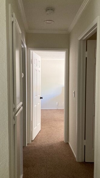 Building Photo - 2831 Casa de Vida Dr