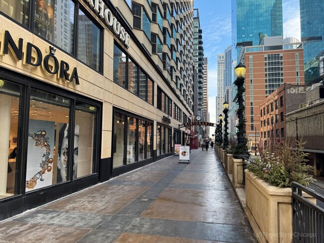 Building Photo - 535 N Michigan Ave