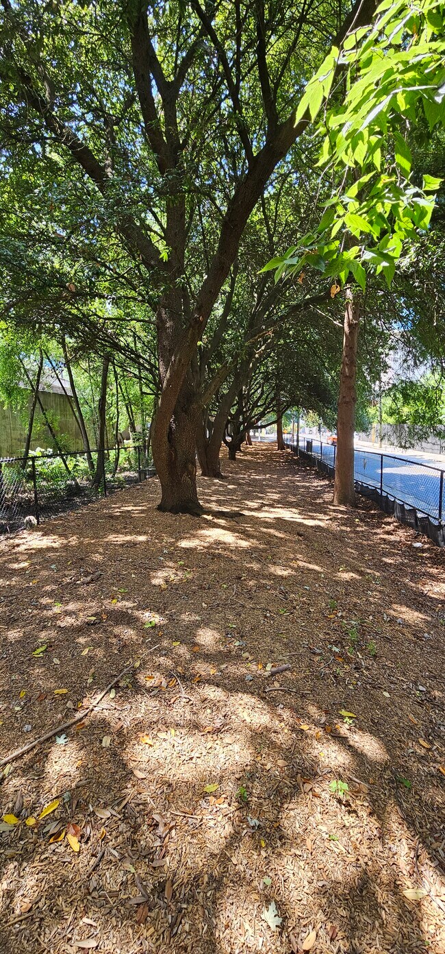 Very large & expansive dog park! - 1075 Peachtree Walk NE