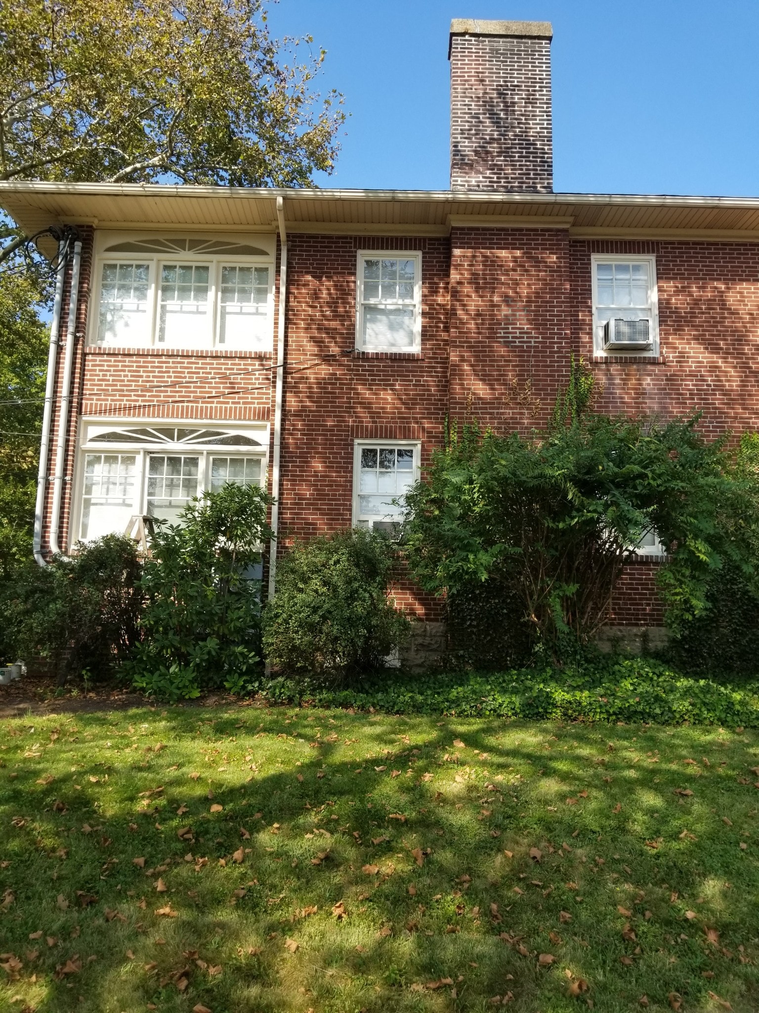 Building Photo - 1101 Rambler Ave