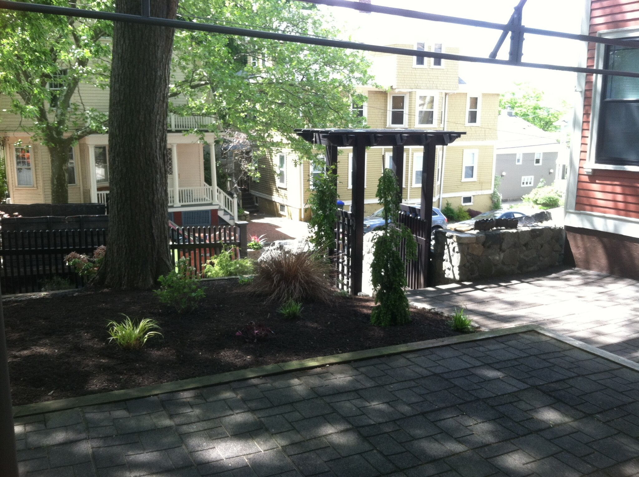 Back Yard - 59 Halsey St