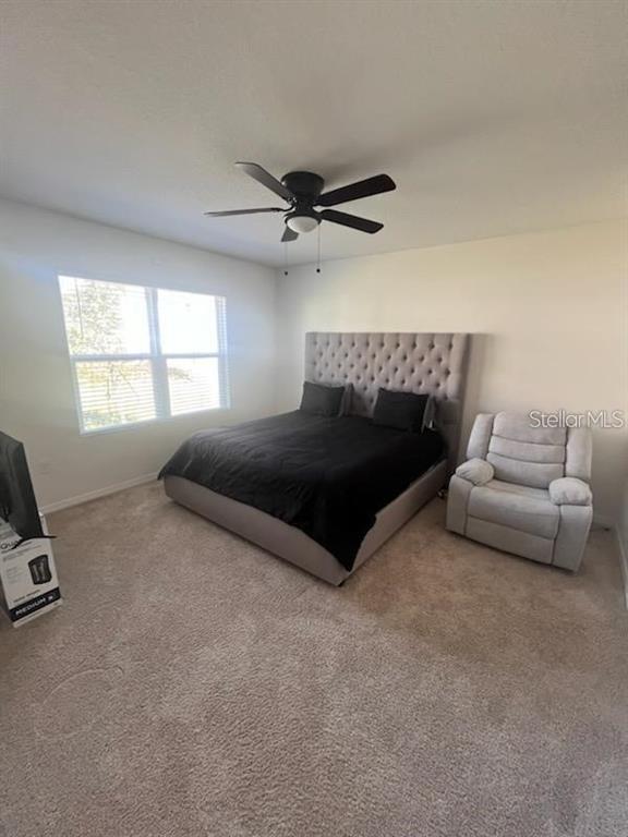 Building Photo - 20082 Royal Tern Ct