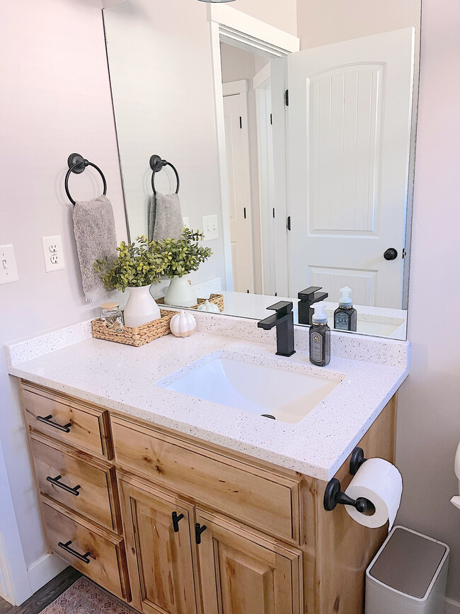 Downstairs Bathroom - 310 W Leann Way