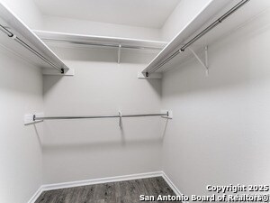 Building Photo - 101 Saddle Club Cir