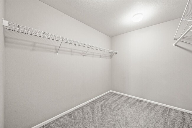 Building Photo - Beautiful 5 Bedroom Home- Move in Ready- C...