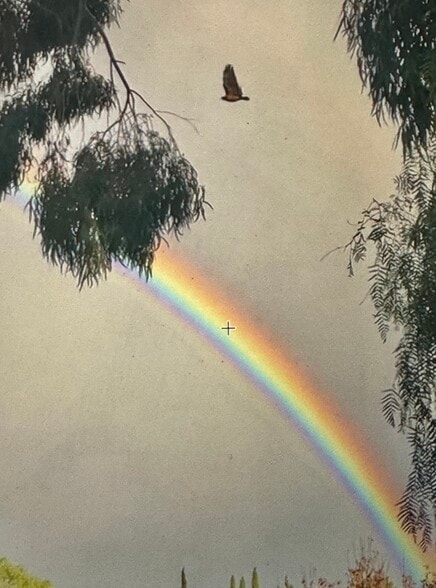 Building Photo - 1734 Topanga Skyline Dr