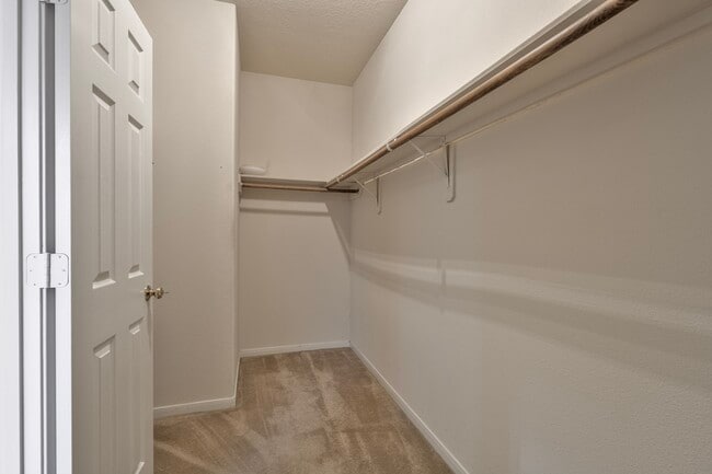 Building Photo - 2107 Auburn Vale St