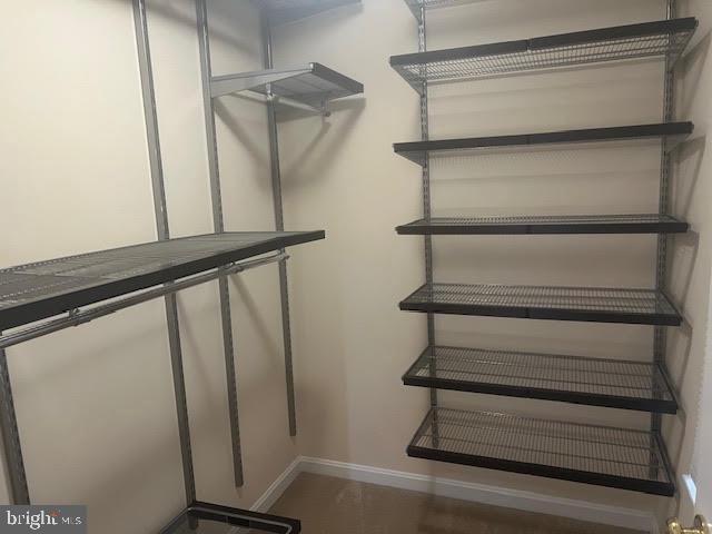 Building Photo - 1541 Northern Neck Dr