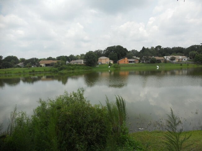 Building Photo - 1007 Saddleback Ridge Rd