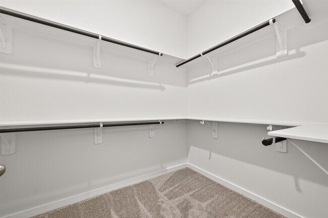 Building Photo - 3203 Home Ct