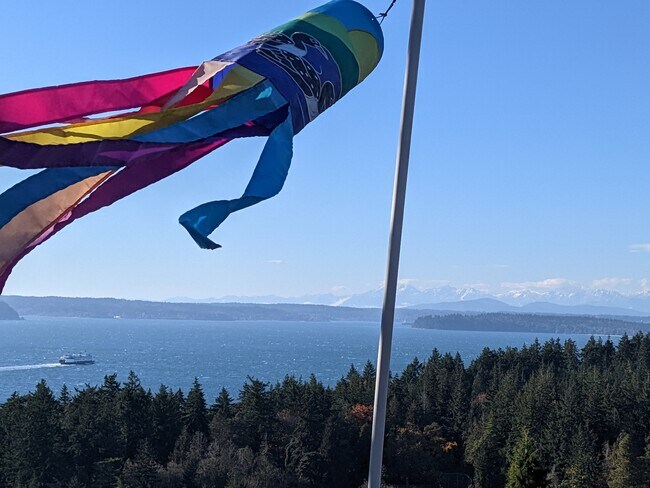 Big sky, snow capped Olympic Mountains, Puget Sound, ferry, Lincoln Park and a brisk wind. - 8261 Northrop Plz SW