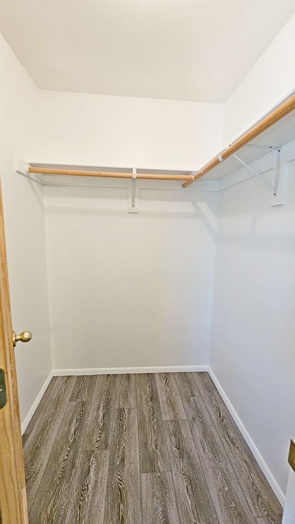 Building Photo - Beautiful 3 Bed, 2 Bath with a Bonus Room and Large Yard!