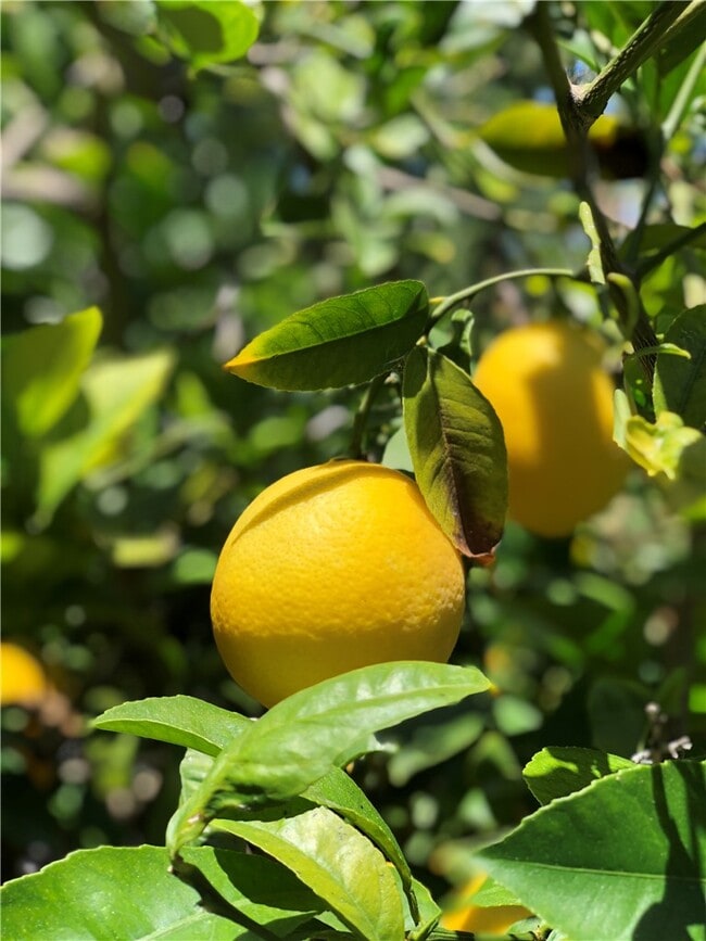 Building Photo - 12 Coach Rd