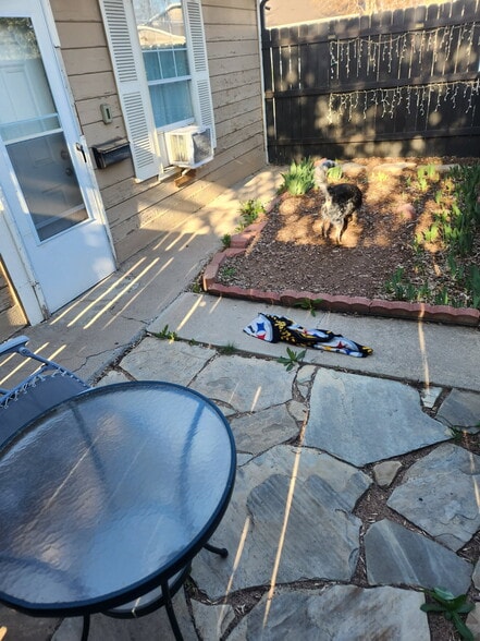 Courtyard - dog not included:) - 10995 Montview Blvd