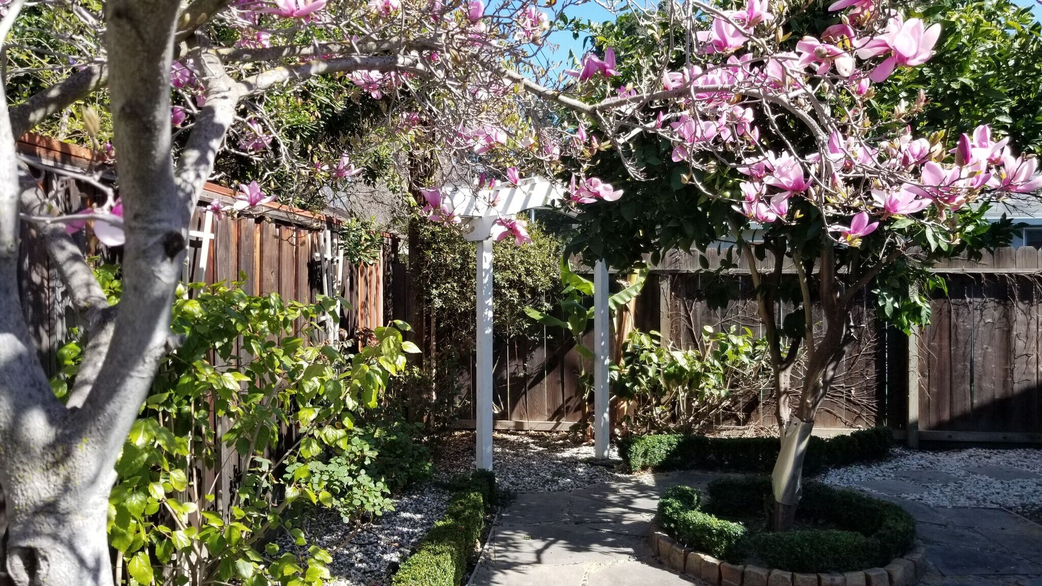 Building Photo - 2221 Homewood Dr