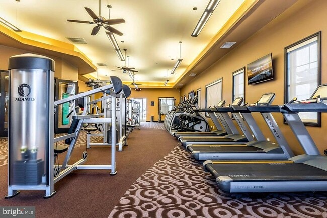 Building Photo - 3507 Del Mar Dr