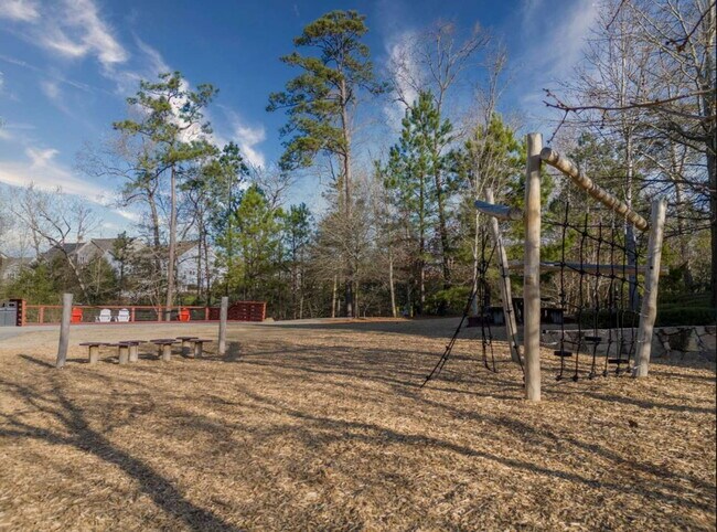 Building Photo - 217 Tumbling River Dr