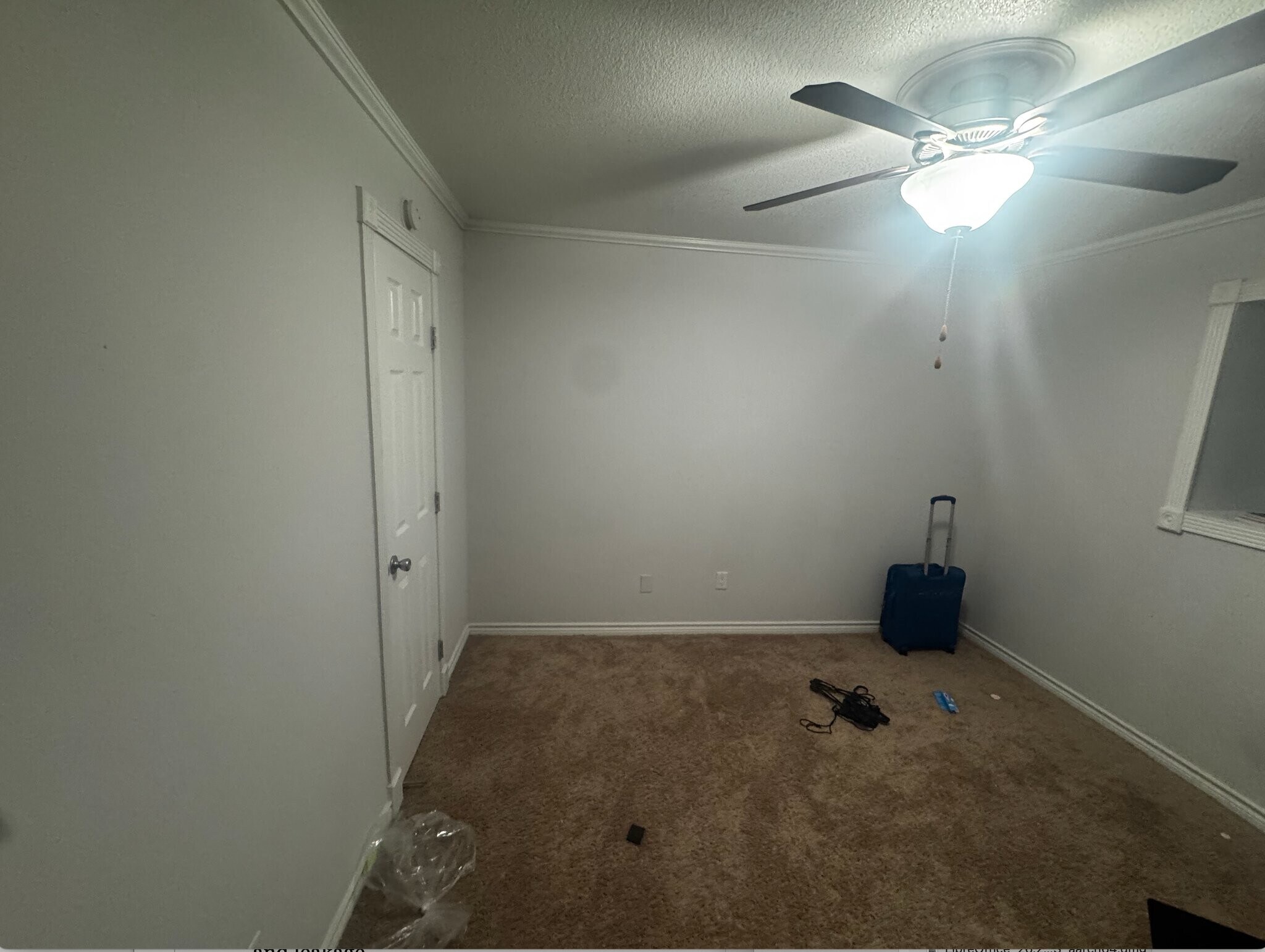 Building Photo - 3605 Steck Ave