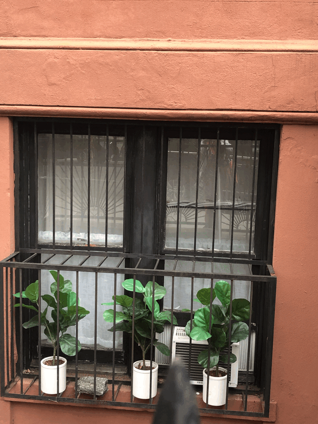 Mother-in-Law window box - 147 W 118th St