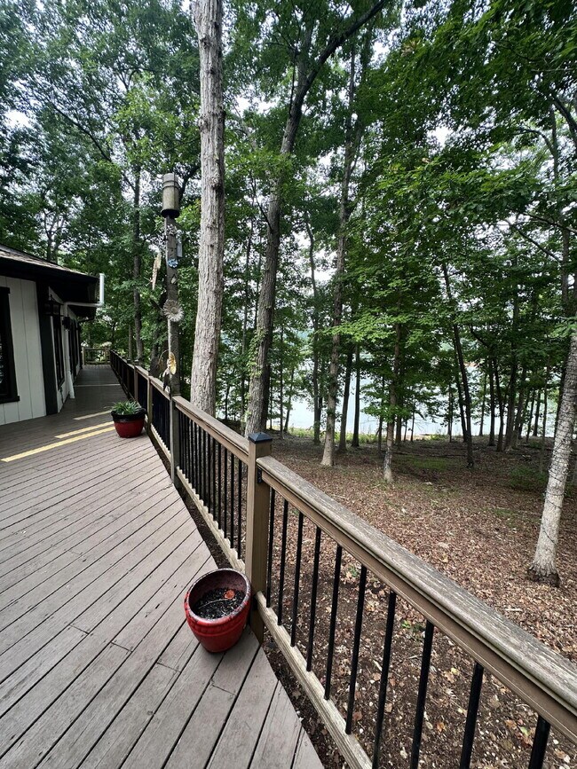 Building Photo - Beautiful Lake Front Property!