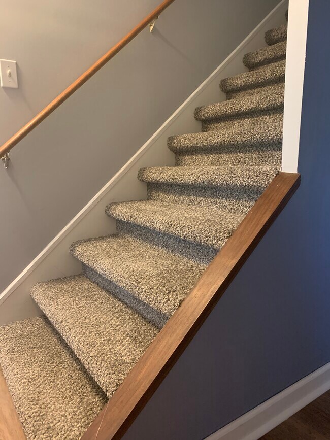 New carpet upstairs - 247 Lakeview Ln