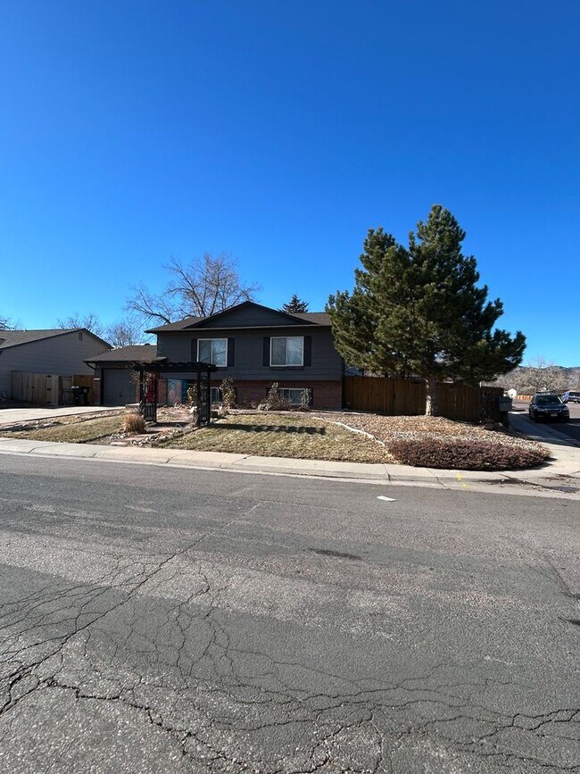 Building Photo - Stunning 4 BR/2 BA Morrison Home!!