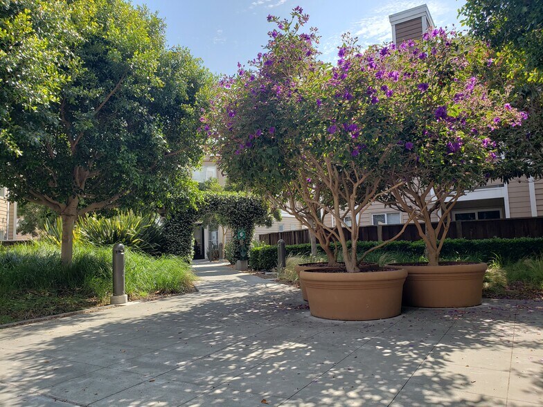 Building Photo - 6400 Christie Ave