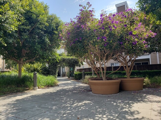 Building Photo - 6400 Christie Ave