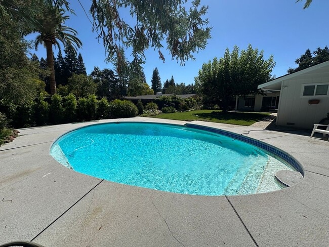 Building Photo - 5 Bed 3 Bath In Alamo W/ Pool