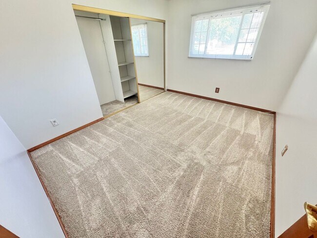 Building Photo - New Carpet and Paint, NO HOA, 3 Bed, 2 Bath home with Pool.