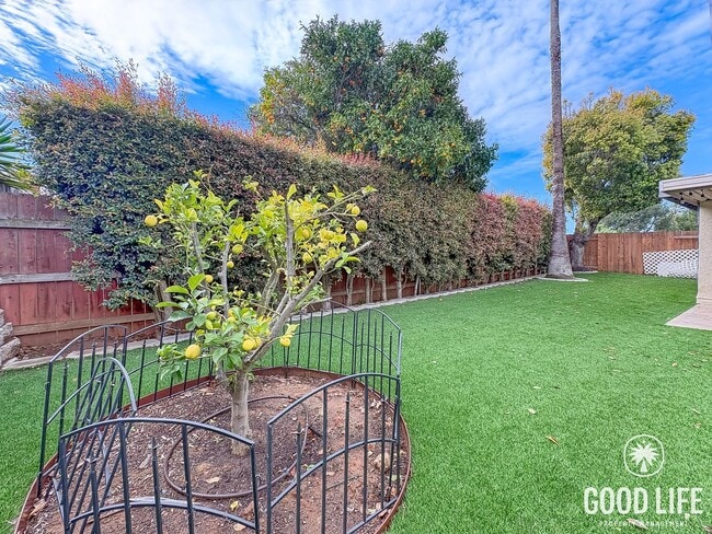 Building Photo - Modern 4-Bedroom Home with Spacious Yard in Prime Clairemont Location