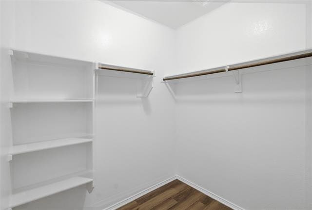 Building Photo - 1716 Gayla Creek Dr