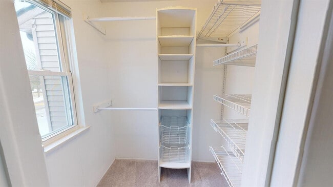 Building Photo - 3008 Bolgos Cir