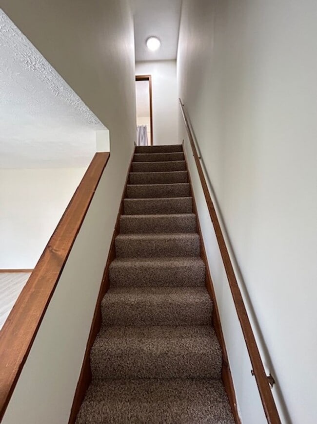 Building Photo - 1520 Hawk Cir