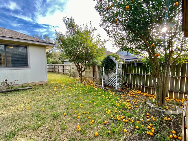 Building Photo - Easy Living, Inside and Out