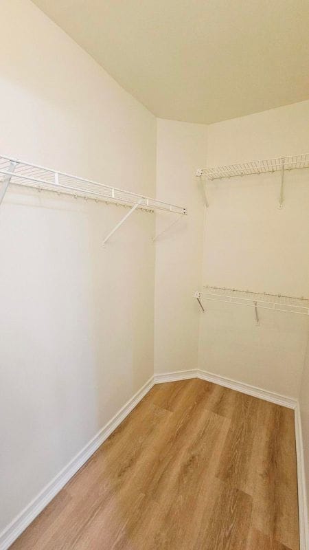 Building Photo - 4823 Via Palm Lakes Via