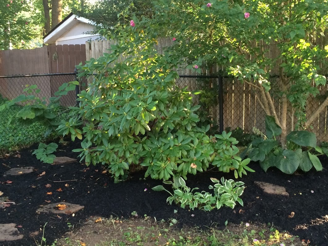 Mature landscaping with stone path - 602 Creekvalley Rd.