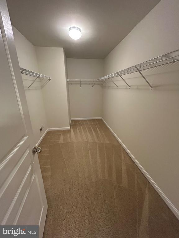 Building Photo - 44 Clement Ct