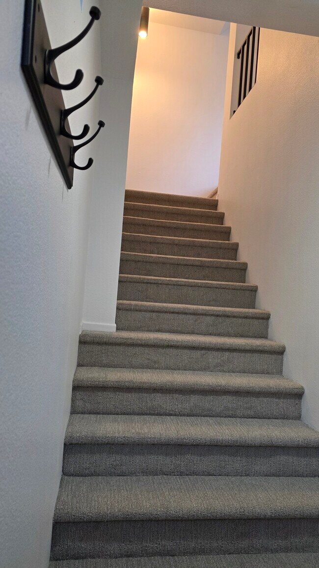 Building Photo - 1342 Serena Cir