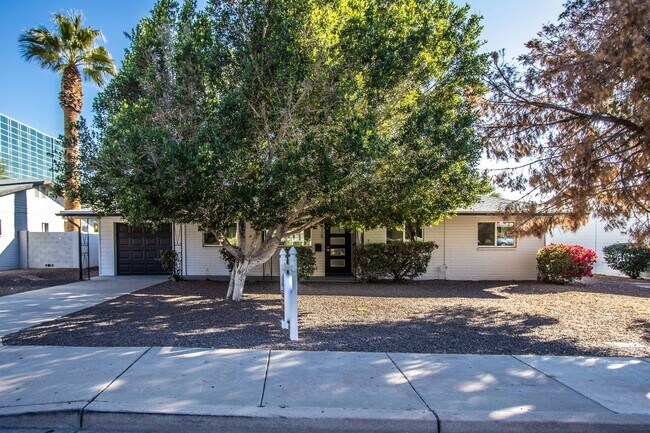 Building Photo - Biltmore District Luxury – 3 month leases avaialble 2,795.00