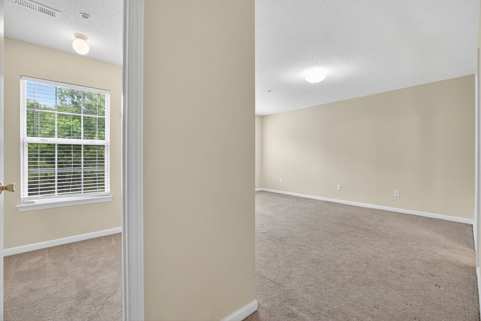 Building Photo - 135 Primrose Dr