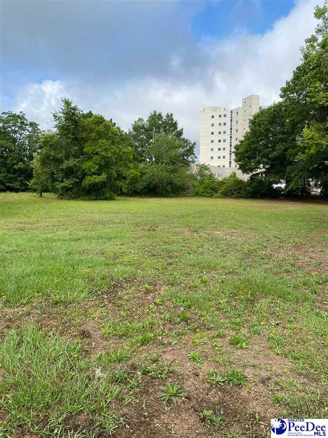 Building Photo - 2503 S Vance Dr