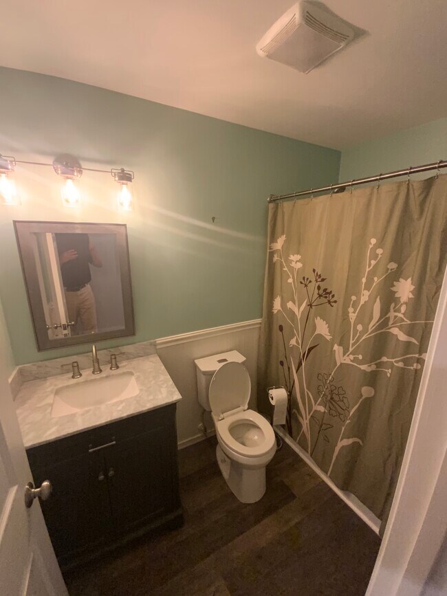 Hall bathroom - 996 Tamara Dr