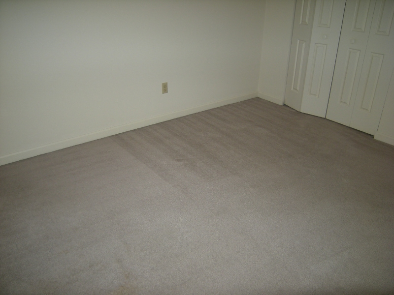 Building Photo - 303 McDougal Ave