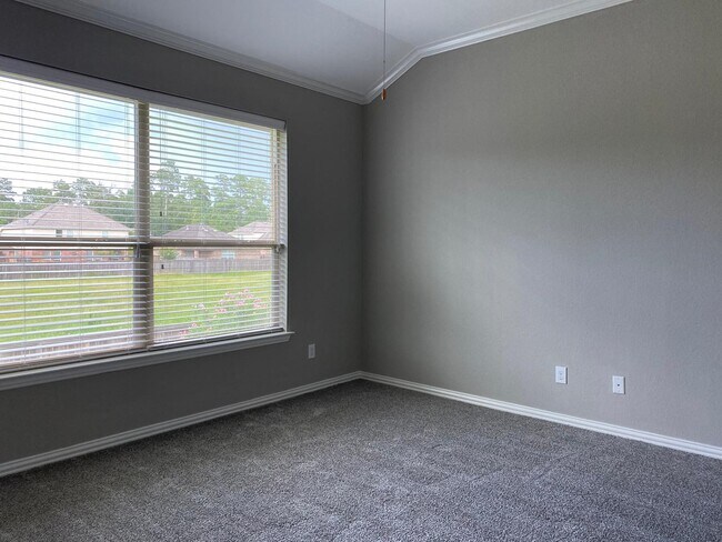 Building Photo - 42 Black Swan Ct