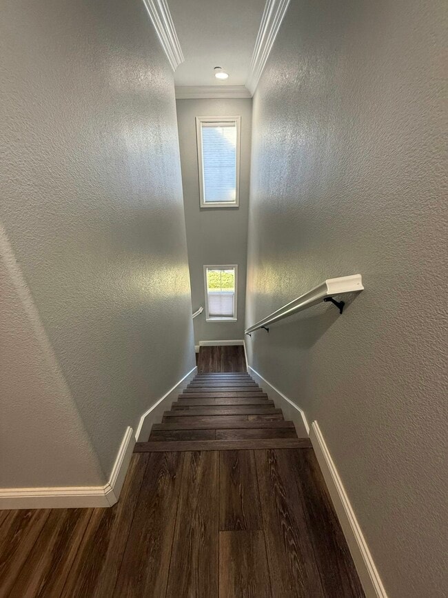 Building Photo - 203 Dante Cir