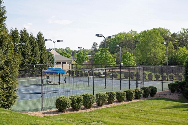 Building Photo - Cat-Friendly Forest Lakes South Townhome
