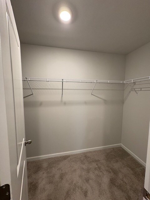 Building Photo - 285 Pebble Ridge Dr