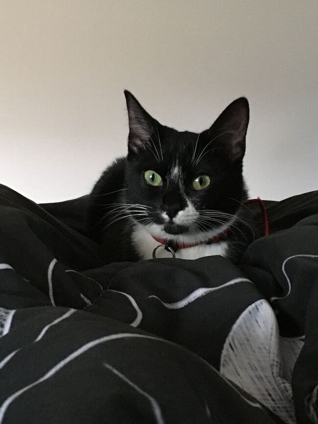 Building Photo - 1 Bedroom Vintage Lovers Dream